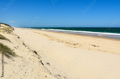 Sand dunes and Surf beach on South Stradbroke Island in Queensland  Australia.