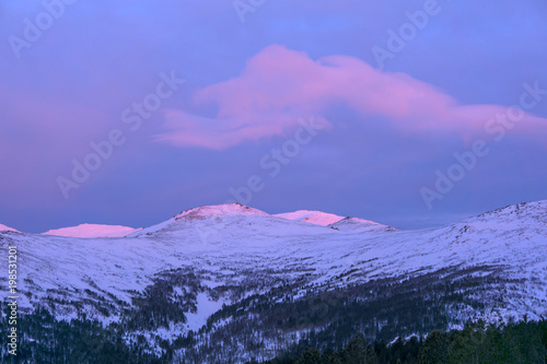 landscape - gentle pink sunset over the snowy mountain peaks of the northern Ural photo