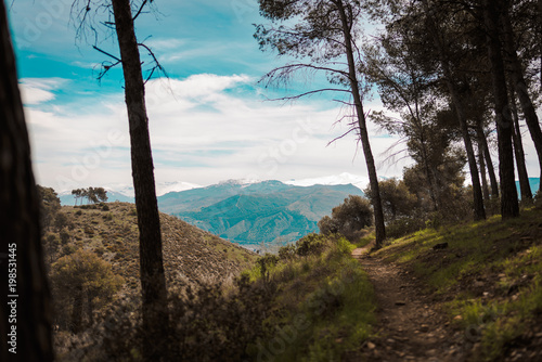 path and mountain
