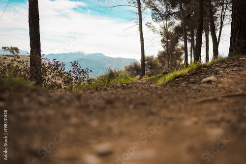 path and mountain