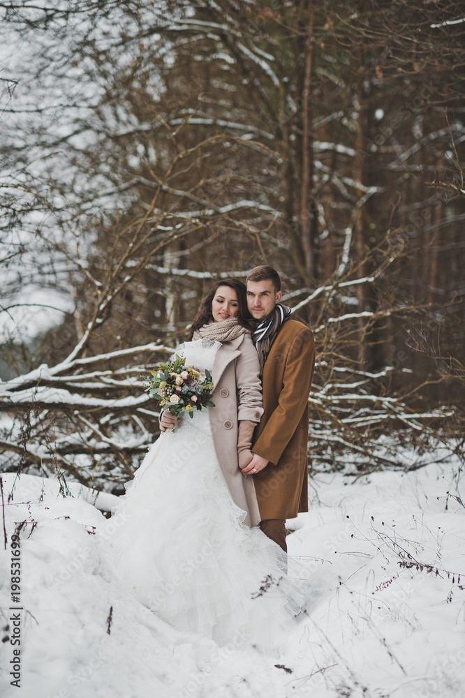 Portrait of the bride and groom around fallen trees overgrown with pine Portrait of the bride and groom around fallen trees overgrown with pine