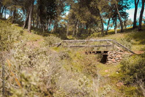 Bridge