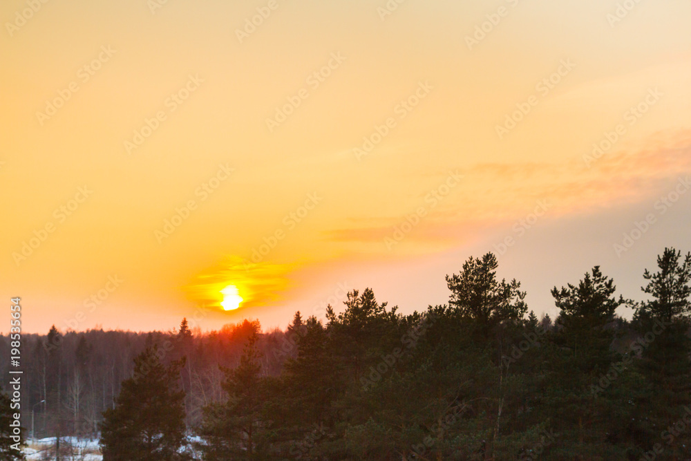 Bright beautiful sunset over the winter forest in early spring Bright beautiful sunset over the winter forest in early spring