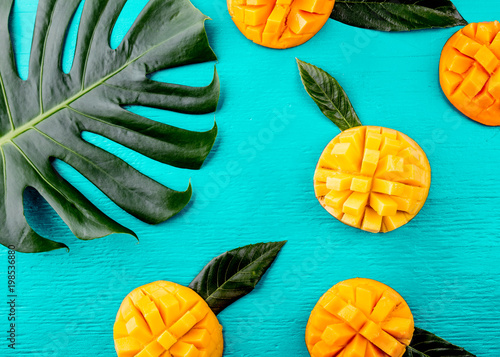 Fototapeta Creative layout made of summer tropical fruits mango and tropical leaves on turquoise background