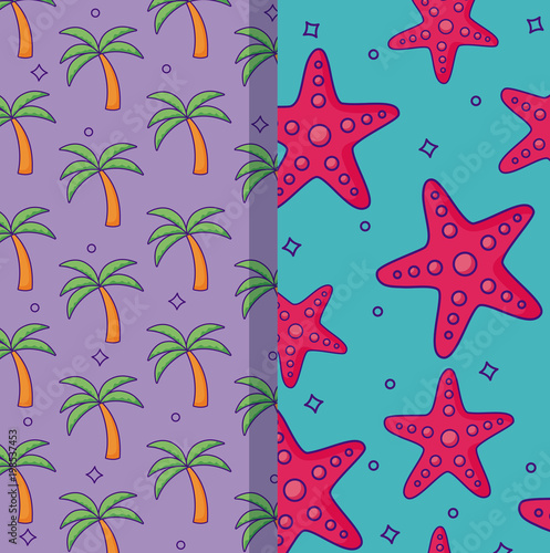 Patterns of tropical palms and sea stars, colorful design. vector illustration