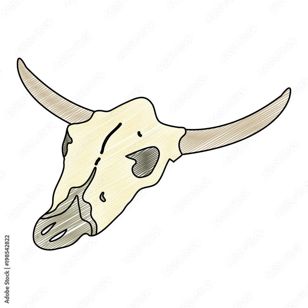 doodle buffalo animal dead skull in the desert Stock Vector | Adobe Stock