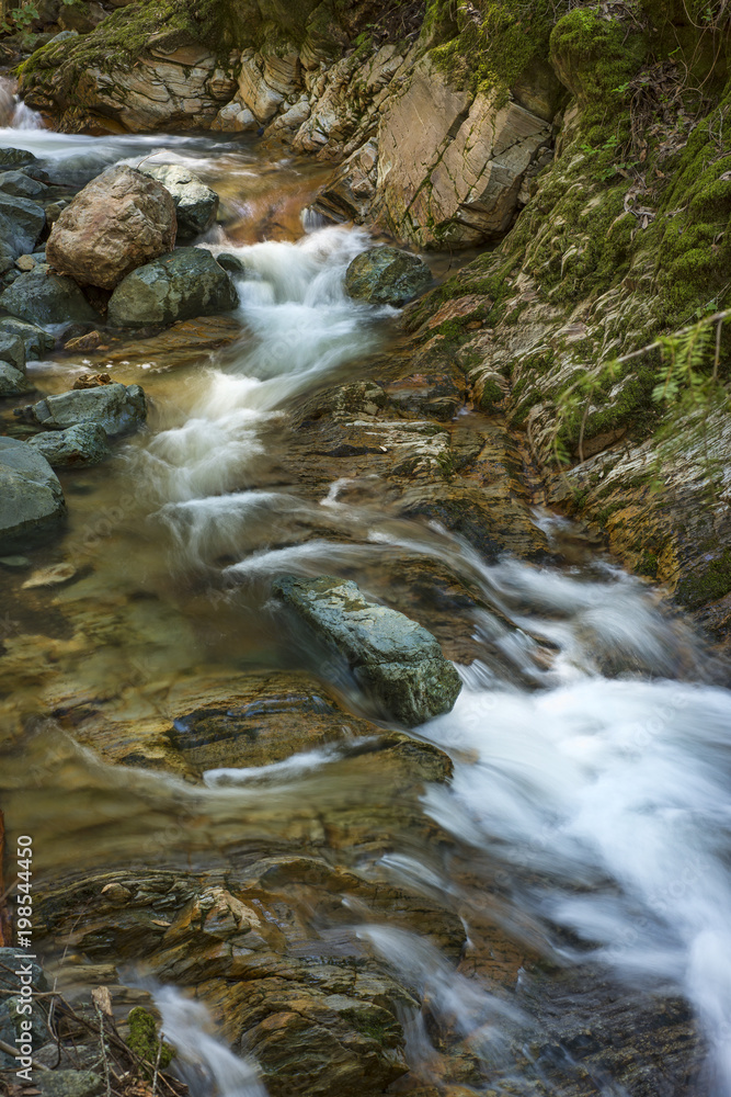 Creek in Sugarloaf Ridge State Park Creek in Sugarloaf Ridge State Park