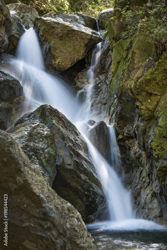 Creek in Sugarloaf Ridge State Park