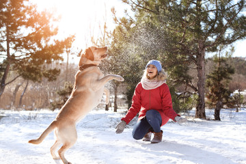 Woman playing with cute dog outdoors on winter day. Friendship between pet and owner