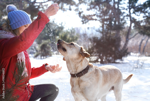Woman playing with cute dog...