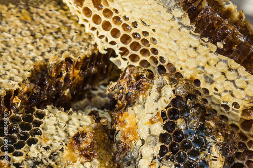 Honey combs, natural sugar. © Vera