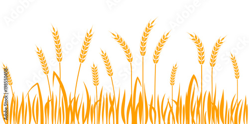 Ears of wheat horizontal border seamless pattern