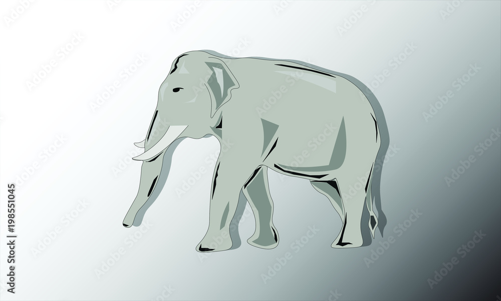Fototapeta premium elephant walking to the left