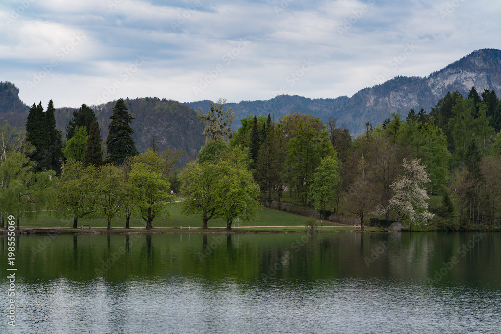 spring lake and mountain views
