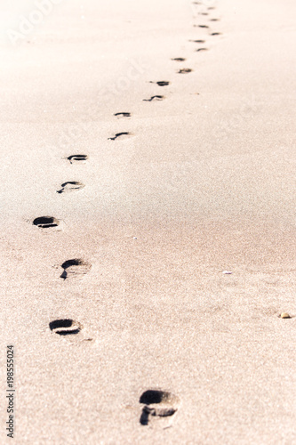 砂浜を歩いた足跡