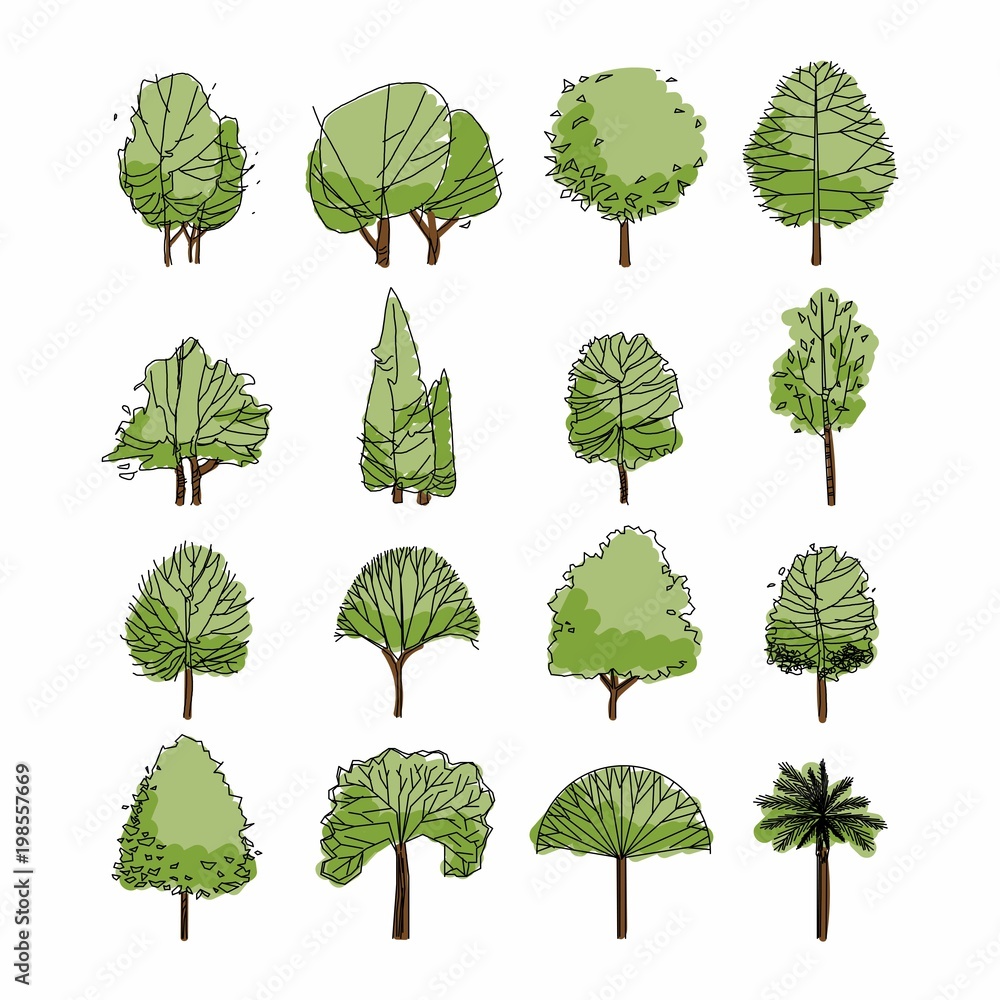 Naklejka premium Widok z boku, zestaw elementów graficznych zielonych drzew przedstawia zarys symbolu dla rysunku architektury i krajobrazu. Naturalna ikona. Ilustracji wektorowych
