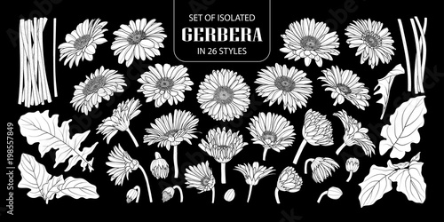 Canvas-taulu Set of isolated white silhouette gerbera in 26 styles.