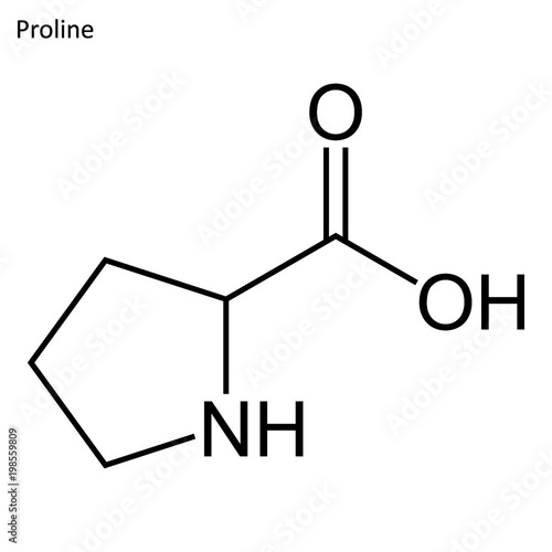 Skeletal formula of Proline