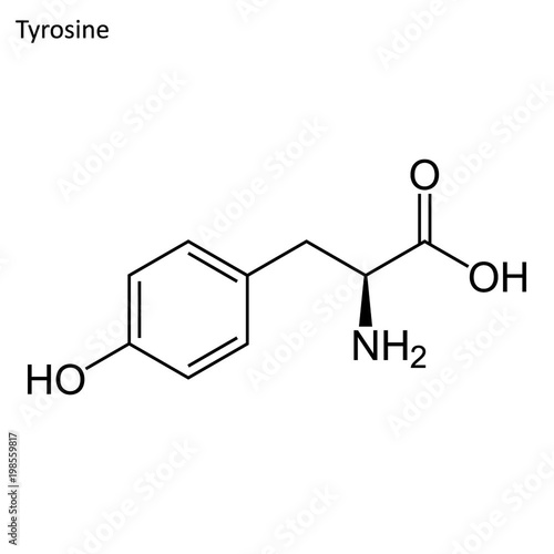 Skeletal formula of Tyrasine