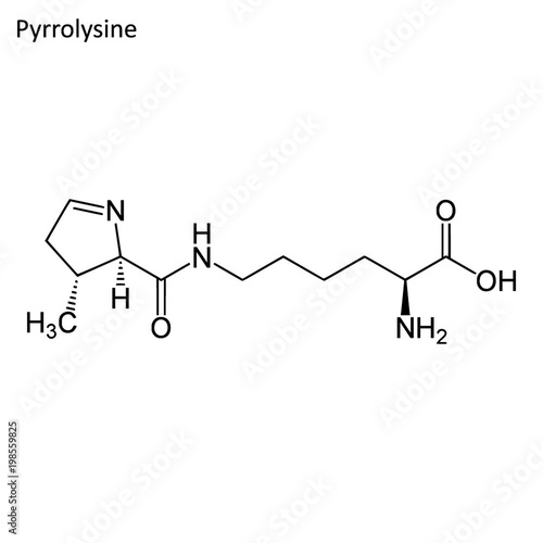 Skeletal formula of Pyrrolysine photo