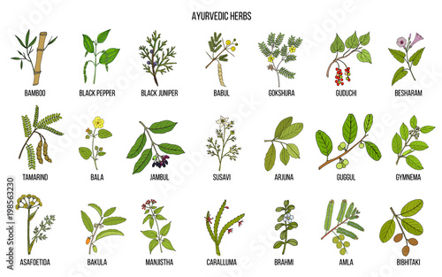 Ayurvedic herbs, natural botanical set