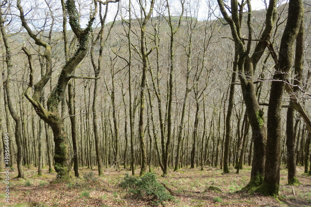 Dartmoor National Park