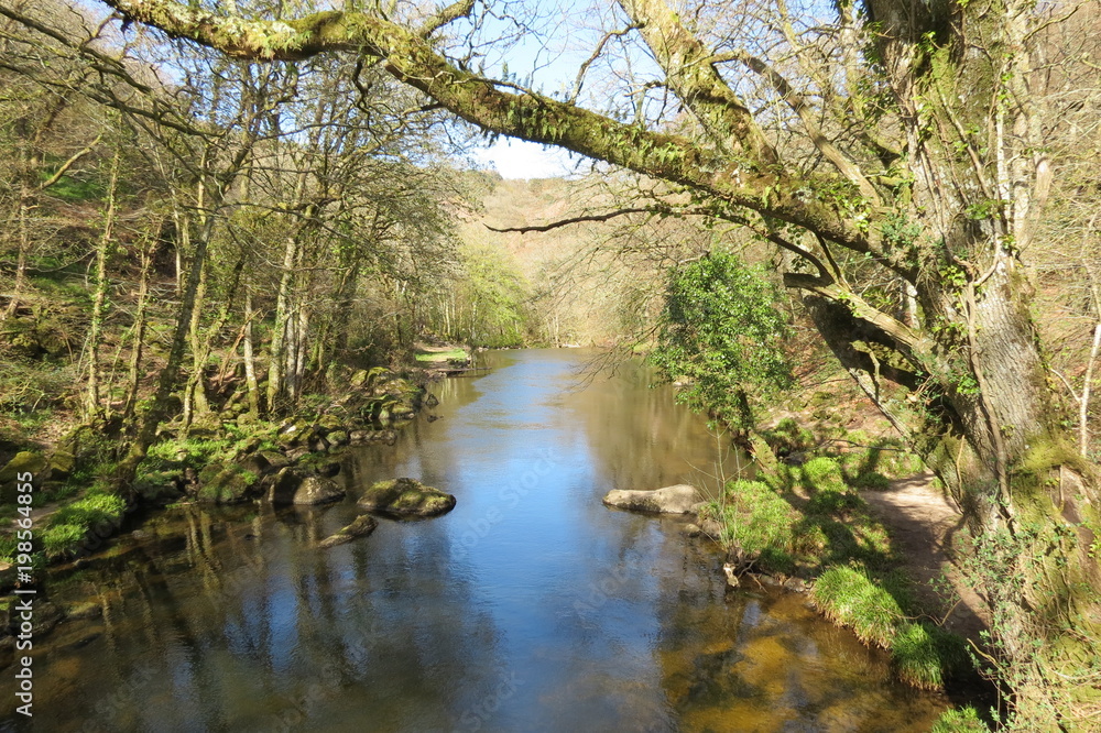 River through Dartmoor National Park