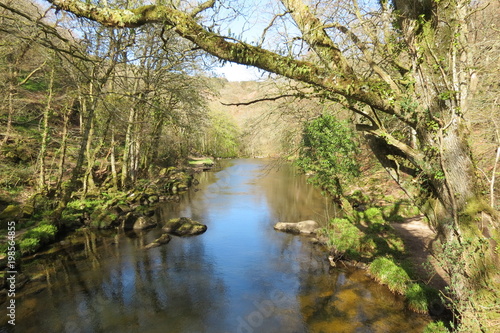 River through Dartmoor National Park