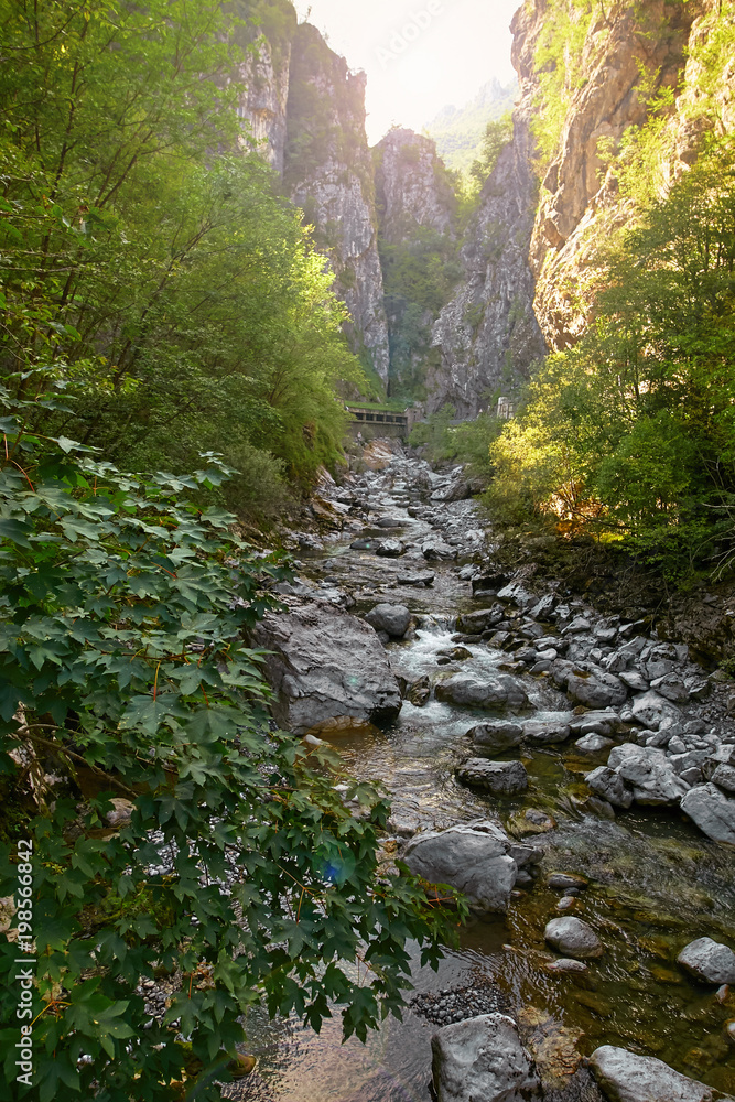 Naklejka premium Deep Gorge in the mountains of Italy.