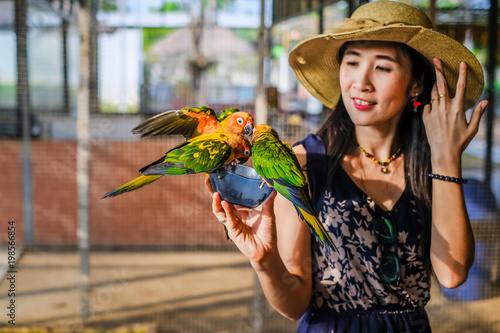 Woman traveler feeding many parrot by hand in the bird cage.