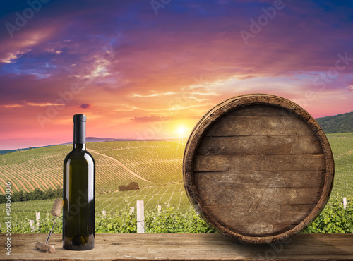 Fototapeta Naklejka Na Ścianę i Meble -  Ripe wine grapes on vines in Tuscany, Italy. Picturesque wine farm, vineyard. Sunset warm light