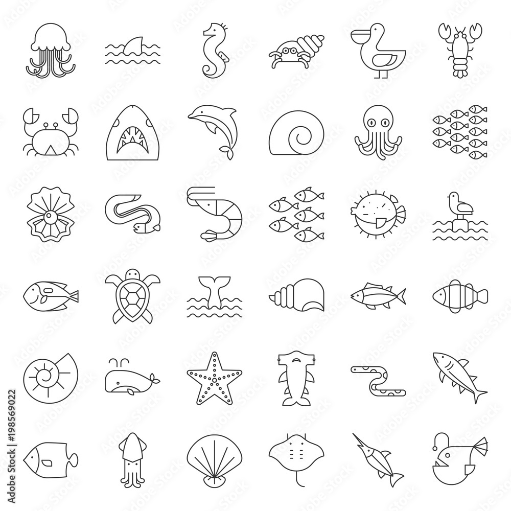 Fototapeta premium Aquatic Ocean life such as octopus, shell, pelican,herd of fish, outline icon set