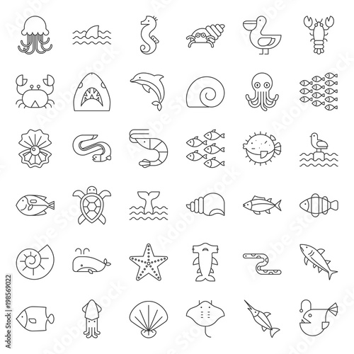 Aquatic Ocean life such as octopus, shell, pelican,herd of fish, outline icon set