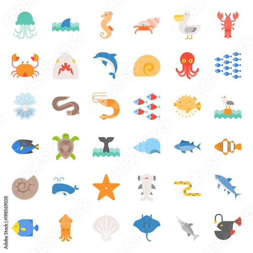Aquatic Ocean life such as octopus, shell, pelican, herd of fish, tropical fish, flat icon set