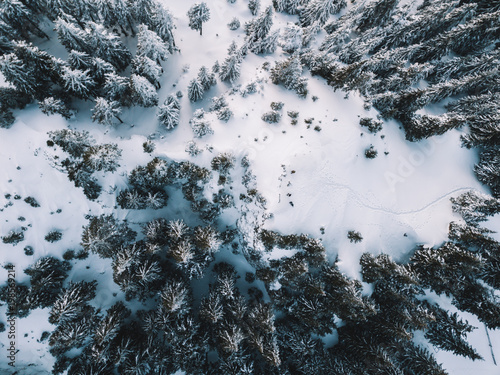 Aerial view of winter snow ...