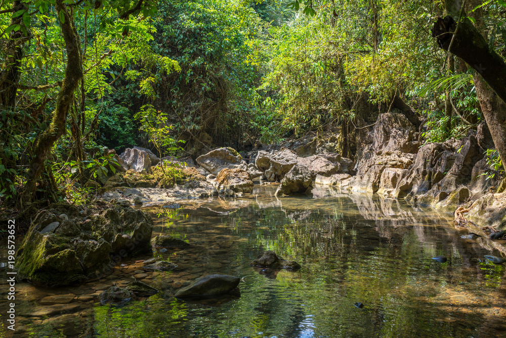 Brook bed on the way to the Nam Talu cave in the jungle of the national park Khao Sok in Thailand