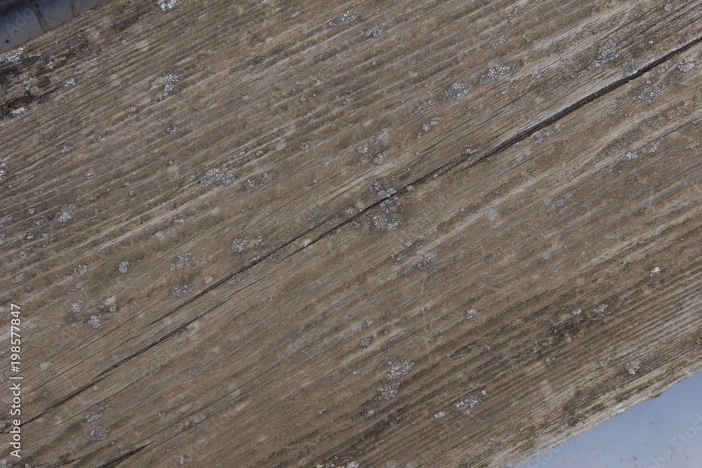 Naklejka premium Textura de madera