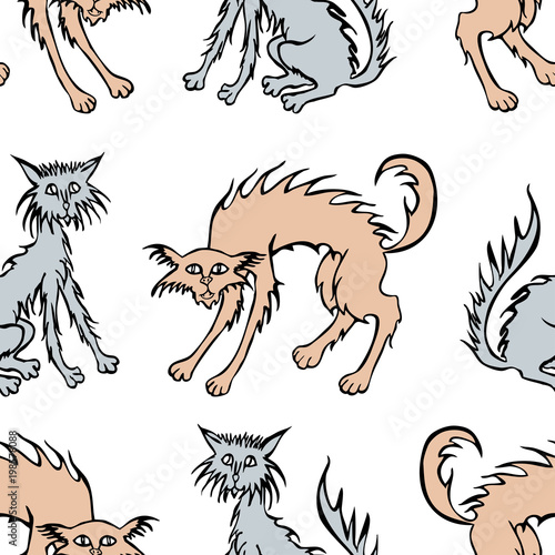Pattern of the tousled cats