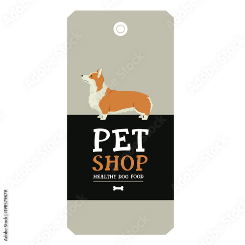 Poster Pet Shop Design label Pembroke Welsh Corgi Geometric style