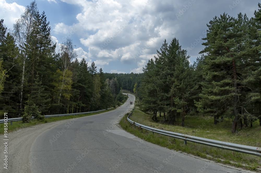 Landscape of springtime nature with green glade, coniferous forest and road, Plana mountain, Bulgaria Landscape of springtime nature with green glade, coniferous forest and road, Plana mountain, Bulgaria