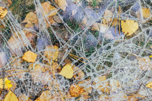 Broken glass lies on the ground with autumn leaves © Т Т