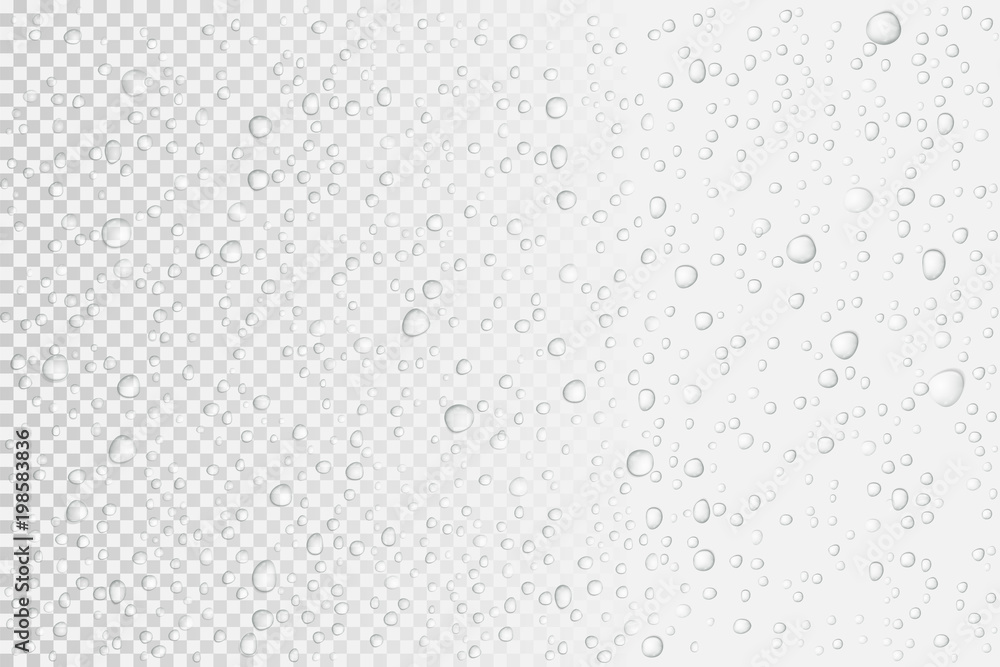 Vector Water drops on glass. Rain drops on transparent background