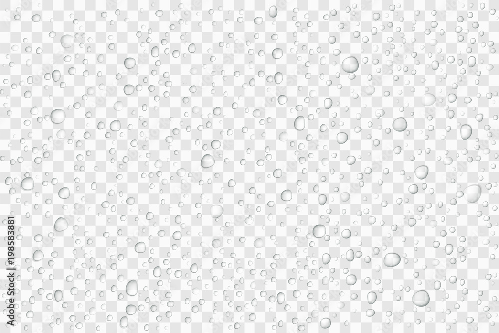 Vector Water drops on glass. Rain drops on transparent background