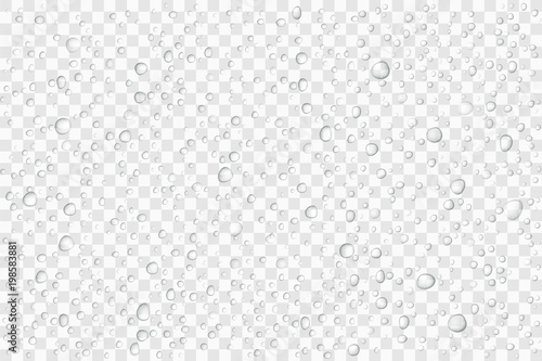 Vector Water drops on glass. Rain drops on transparent background photo