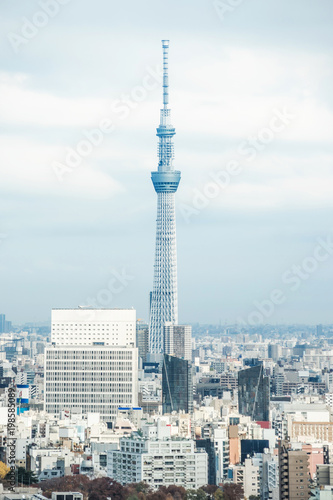 Asia business concept for real estate and corporate construction - panoramic modern city skyline aerial view of bunkyo under blue sky and cloud, tokyo, Japan
