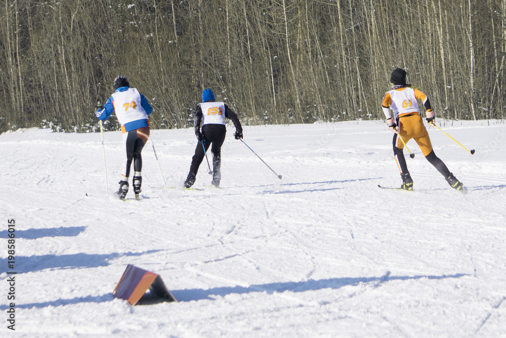 two cross-country ski men sprint uphill slope at ski marathon event of the year
