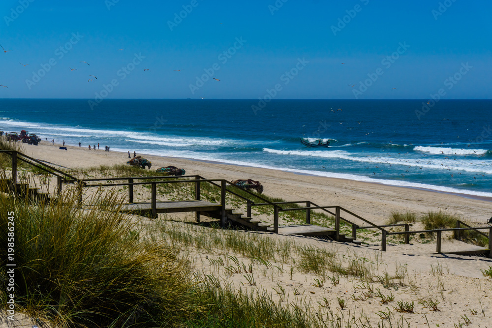 Aerial view of beach and sand dunes at sunset in Murtosa, Aveiro - Portugal. Aerial view. Aerial view of beach and sand dunes at sunset in Murtosa, Aveiro - Portugal. Aerial view.