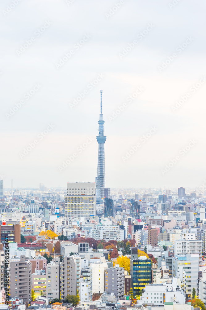 Fototapeta premium Koncepcja biznesowa w Azji dla nieruchomości i budownictwa korporacyjnego - panoramiczny widok z lotu ptaka na panoramę miasta Bunkyo pod fantastycznym różowym niebem i chmurą, tokio, Japonia