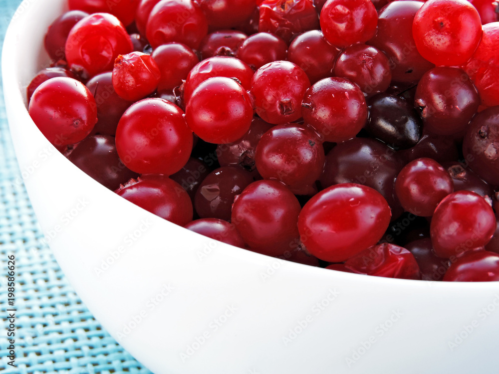 Berries of cranberries in a white bowl Berries of cranberries in a white bowl