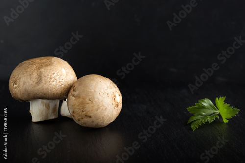 Two brown mushrooms and a parsley leaf